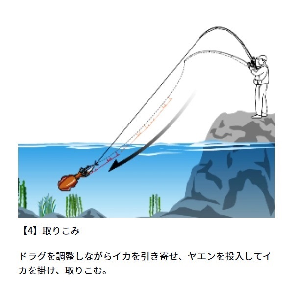 アオリトライアル BR